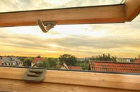 rated Ponthen roof window companies